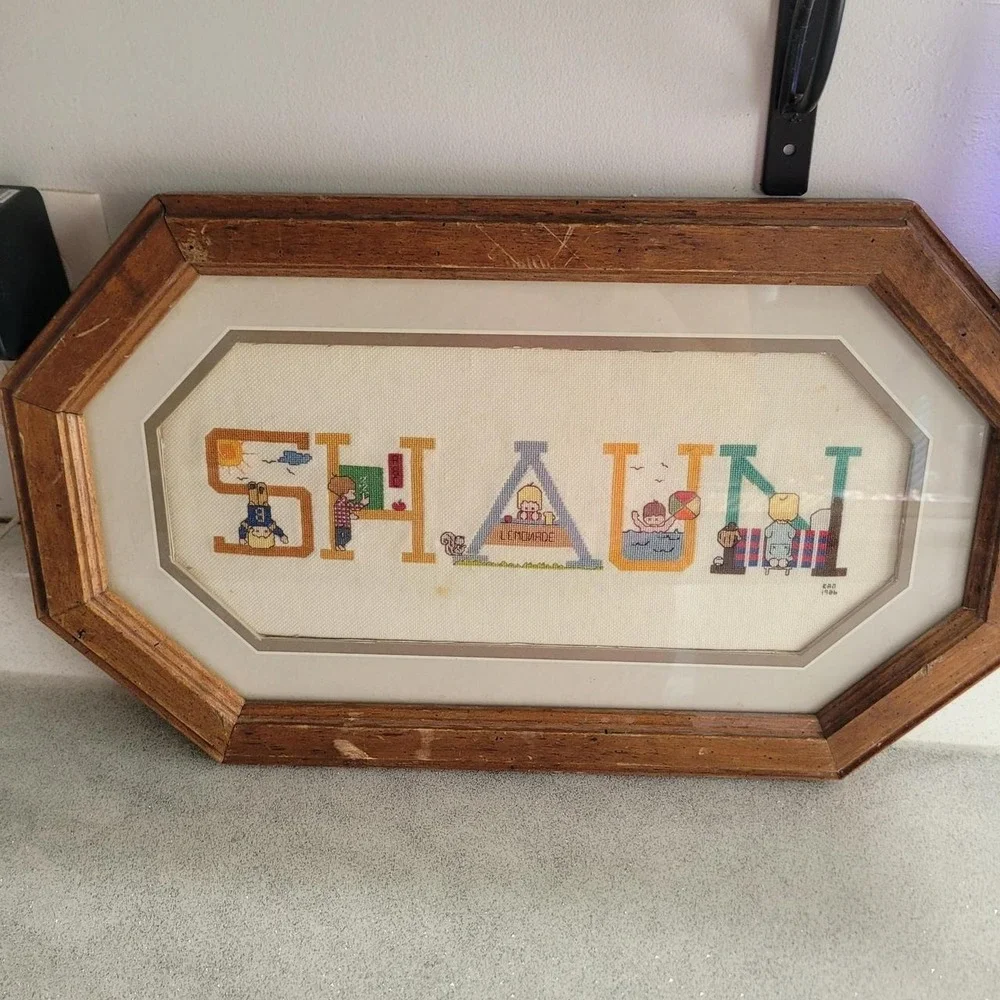 Vintage 1986 Shaun Cross Stitch Framed Art Handmade Name Decor Retro Octagon